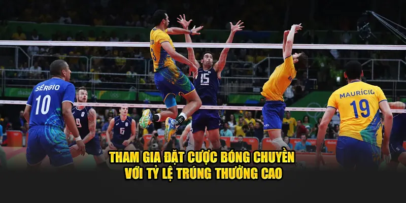 Tham gia đặt cược bóng chuyền với tỷ lệ trúng thưởng cao