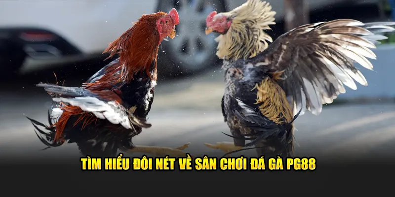 Tìm hiểu đôi nét về sân chơi giải trí chất lượng trên thị trường