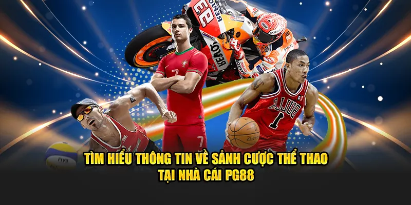 Tìm hiểu thông tin về sảnh cược giải trí chất lượng trên thị trường