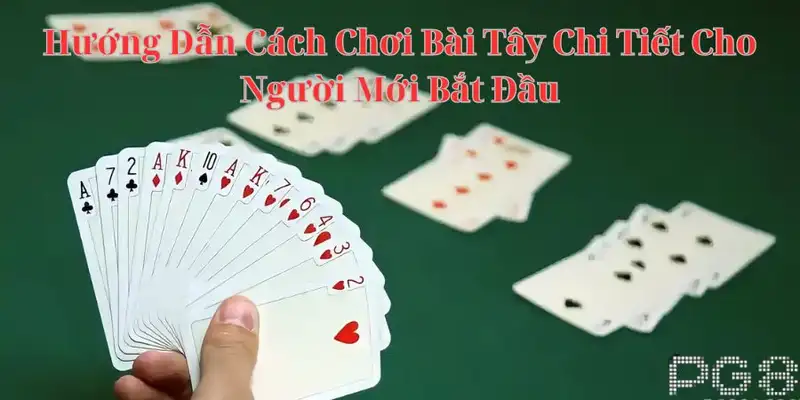 Hướng Dẫn Cách Chơi Bài Tây Chi Tiết Cho Người Mới Bắt Đầu